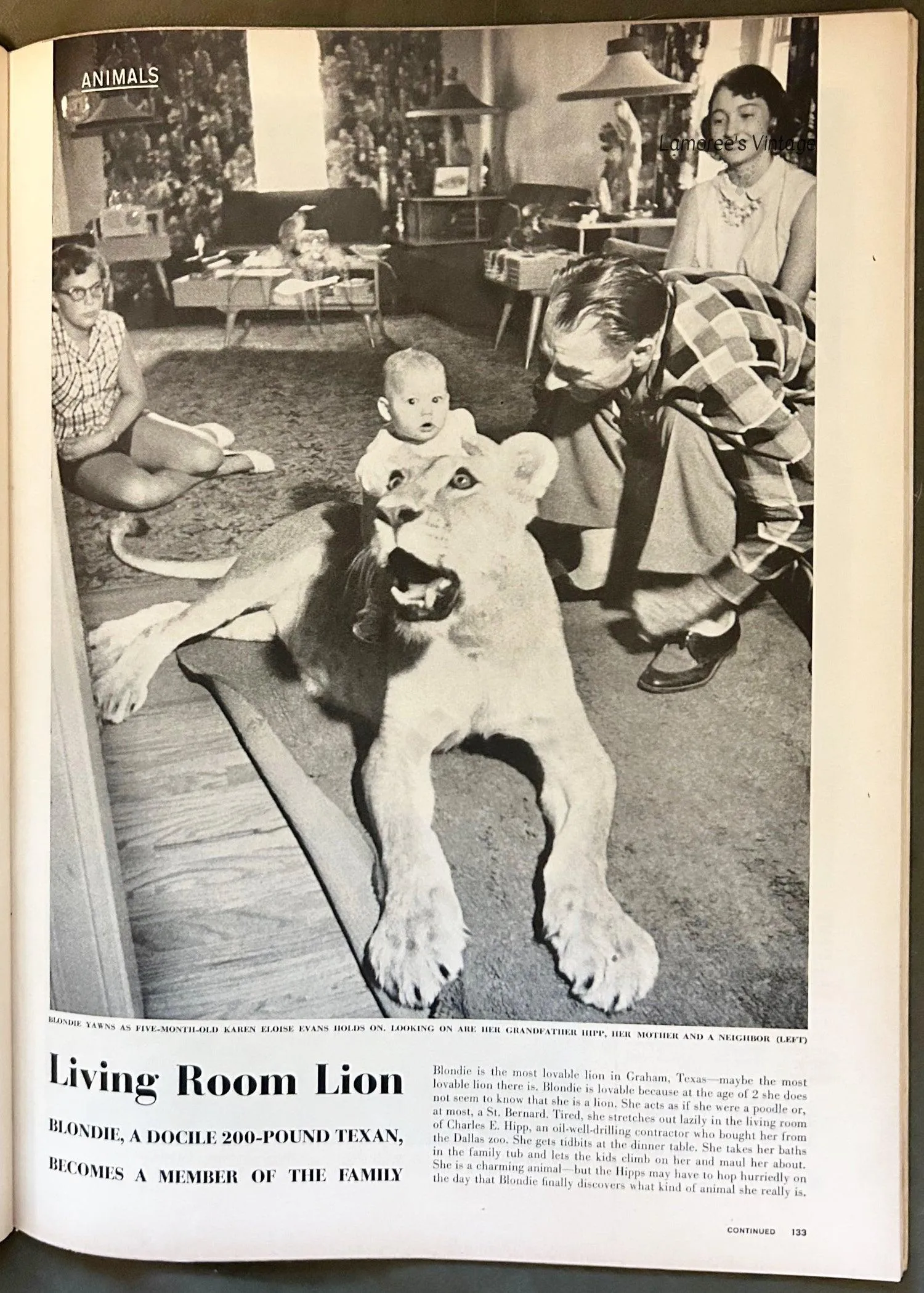 Life Magazine, September 19, 1955