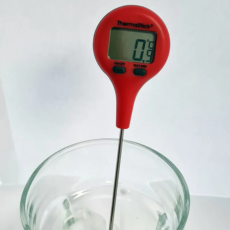 ThermaStick Digital Thermometer